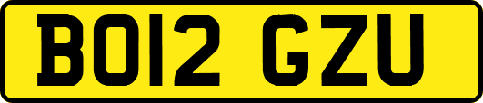 BO12GZU