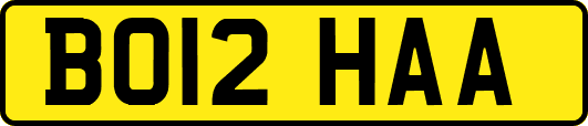 BO12HAA