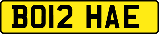 BO12HAE
