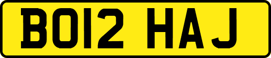 BO12HAJ