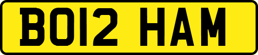 BO12HAM