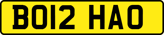 BO12HAO