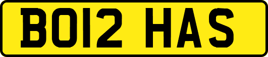 BO12HAS