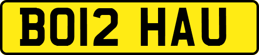 BO12HAU