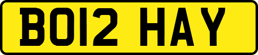 BO12HAY