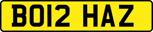 BO12HAZ