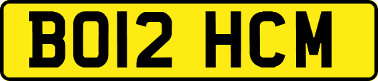 BO12HCM