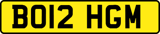 BO12HGM