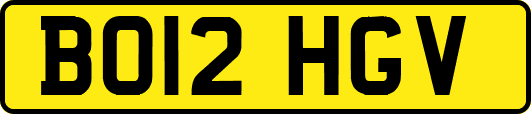 BO12HGV