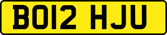 BO12HJU