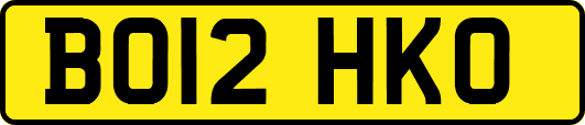 BO12HKO