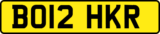 BO12HKR