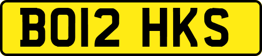 BO12HKS
