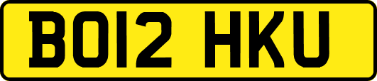 BO12HKU