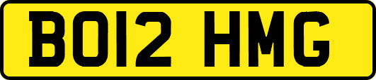 BO12HMG