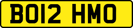 BO12HMO