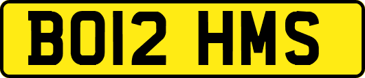BO12HMS