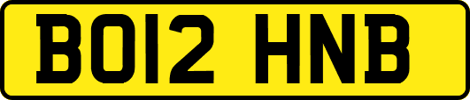 BO12HNB