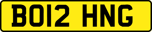 BO12HNG
