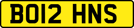 BO12HNS