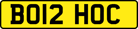 BO12HOC