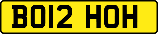 BO12HOH