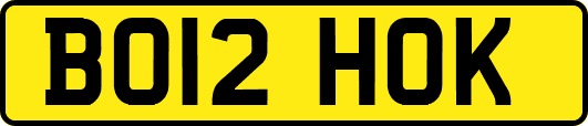 BO12HOK