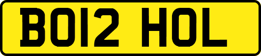 BO12HOL
