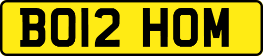 BO12HOM