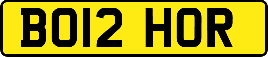 BO12HOR