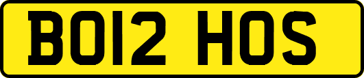 BO12HOS