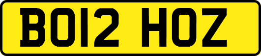BO12HOZ