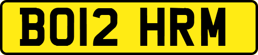 BO12HRM