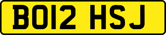 BO12HSJ