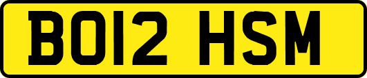 BO12HSM