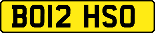 BO12HSO