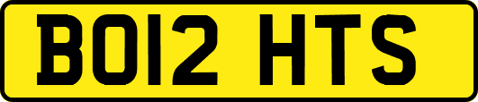 BO12HTS