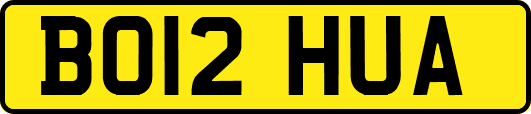 BO12HUA