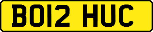 BO12HUC