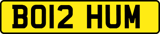 BO12HUM