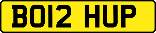 BO12HUP