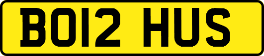 BO12HUS