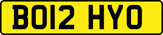 BO12HYO