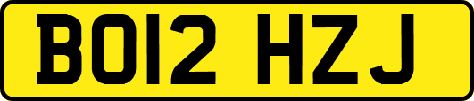 BO12HZJ