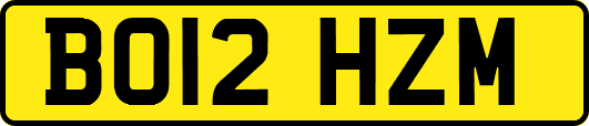 BO12HZM