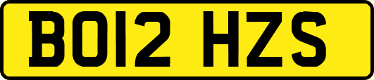 BO12HZS