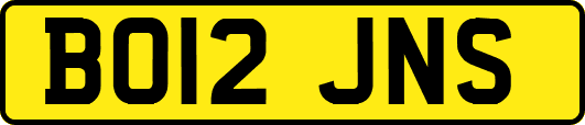 BO12JNS