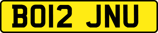 BO12JNU