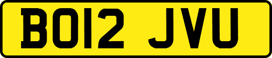 BO12JVU
