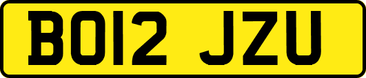 BO12JZU